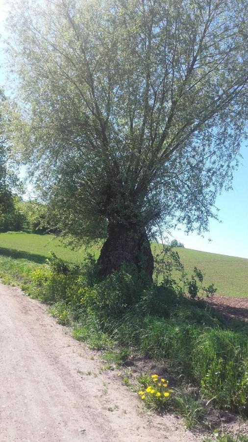 Domek Bialojany Dış mekan fotoğraf
